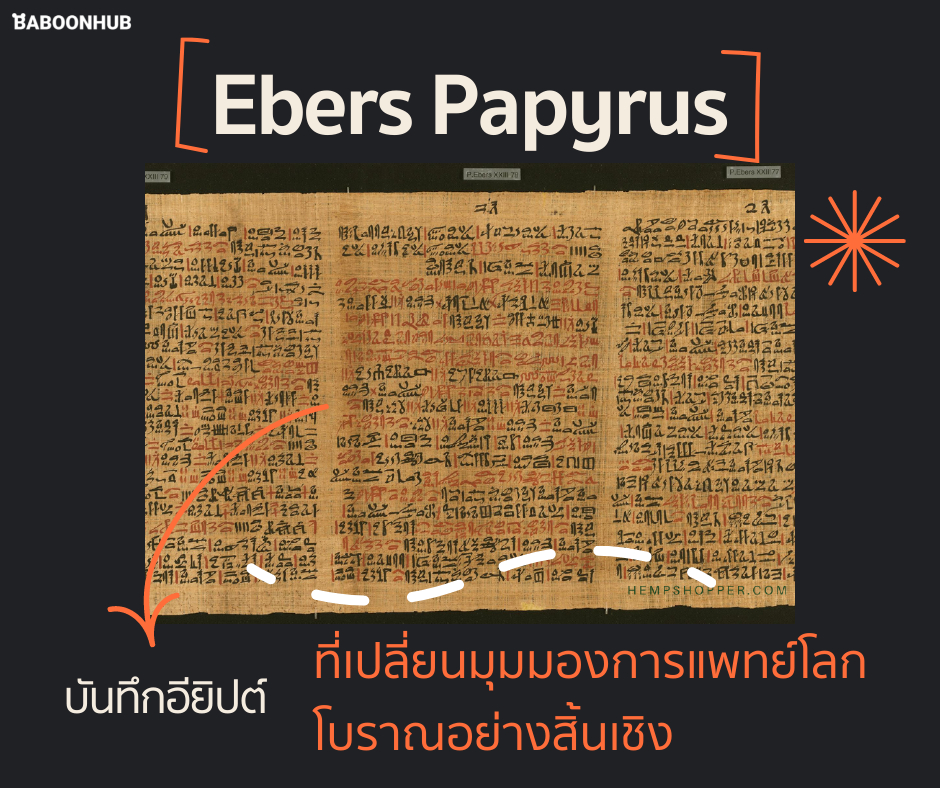 “Ebers Papyrus” บันทึกอียิปต์